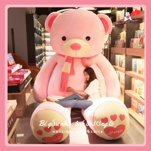 Tieu chi chon gau bong